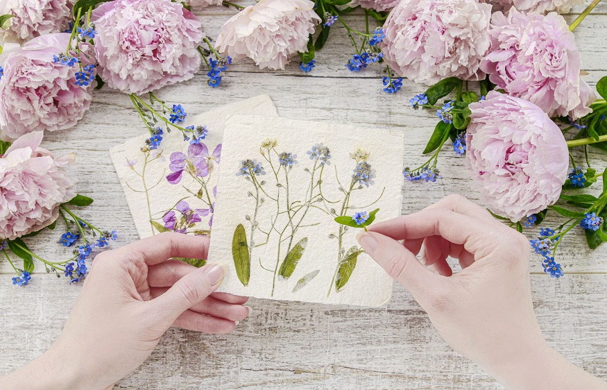 dried flowers