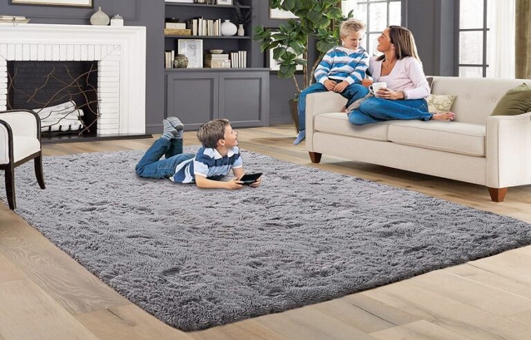 Indoor Rugs