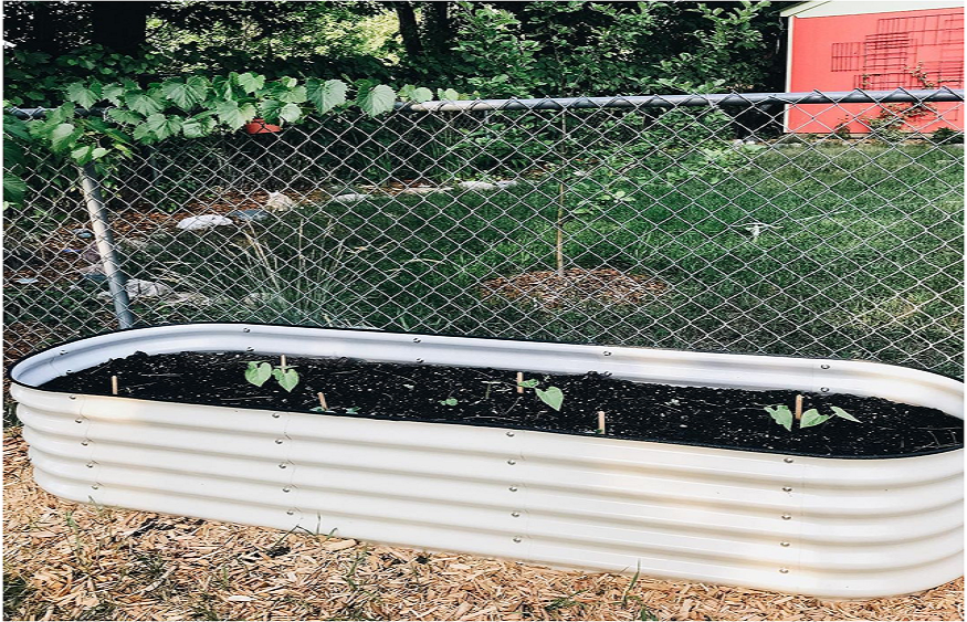 Raised Garden Bed For